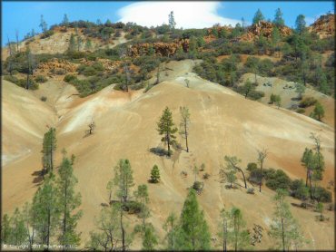 Scenery at Clear Creek Management Area Trail