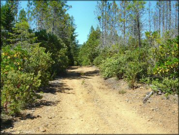 Rattlesnake Ridge Area Trail