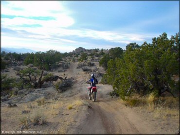 Honda CRF Trail Bike at Fort Sage OHV Area Trail