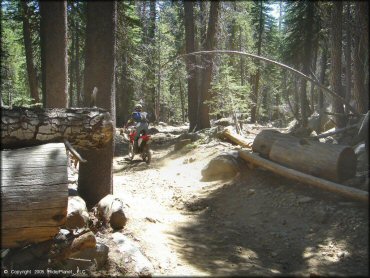 Honda CRF Dirtbike at Lower Blue Lake Trail