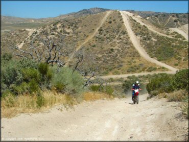 Honda CRF Motorcycle at Hungry Valley SVRA OHV Area