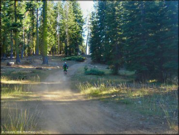 Honda CRF Motorcycle at Black Springs OHV Network Trail