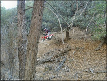 Honda CRF Dirt Bike at Lake Arrowhead Trail