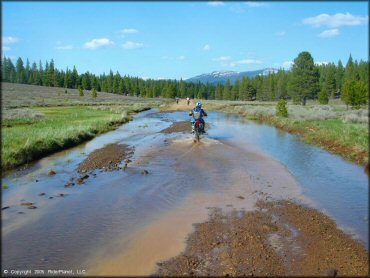 Honda CRF Dirt Bike in the water at Boca Reservoir Trail