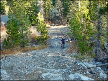 Honda CRF Dirt Bike at Jackson Meadows Trail