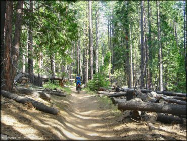 Honda CRF Motorcycle at Corral OHV Trail