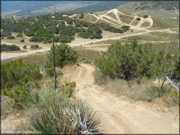 A trail at Hungry Valley SVRA OHV Area