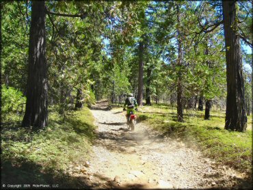 Honda CRF Off-Road Bike at Gold Note Trails