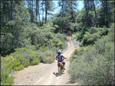 Honda CRF Motorcycle at South Cow Mountain Trail