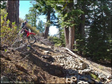 Honda CRF Trail Bike at Prosser Hill OHV Area Trail