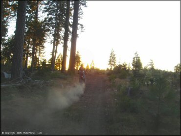 Honda CRF Trail Bike at Black Springs OHV Network Trail