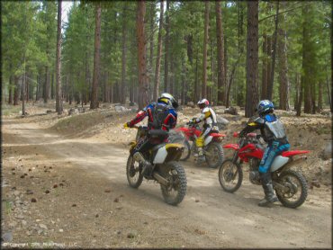 Honda CRF Off-Road Bike at Verdi Peak OHV Trail