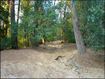 Some terrain at Greenhorn Trail