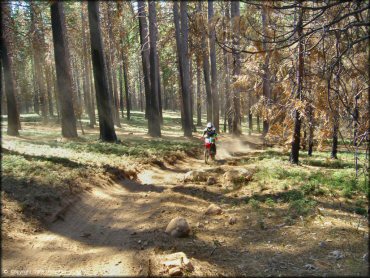 Honda CRF Off-Road Bike at Elkins Flat OHV Routes Trail