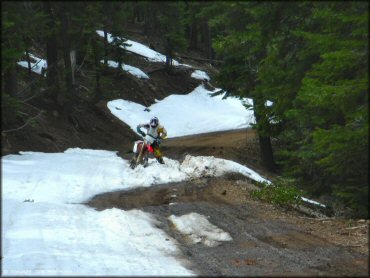 Honda CRF Motorcycle at Verdi Peak OHV Trail