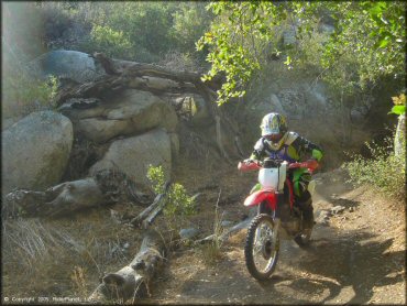 Woman on Honda CRF150F riding through a narrow brush tunnel.