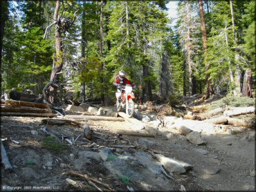 Honda CRF Trail Bike at Corral OHV Trail