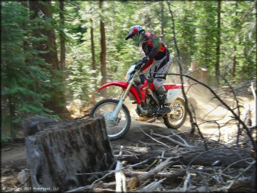 Honda CRF Dirt Bike at Corral OHV Trail