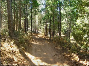 A trail at Gold Note Trails