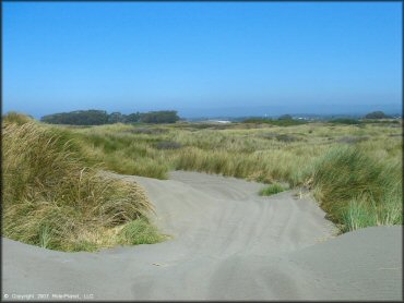 Some terrain at Samoa Sand Dunes OHV Area