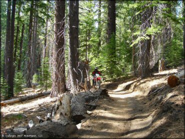 Honda CRF Trail Bike at Corral OHV Trail