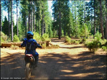 Honda CRF Dirt Bike at Gold Note Trails