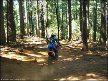 Honda CRF Dirt Bike at Gold Note Trails