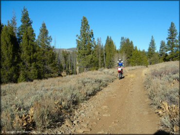 Honda CRF Motorcycle at Billy Hill OHV Route Trail