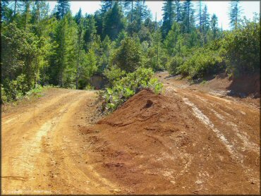 Terrain example at Rattlesnake Ridge Area Trail