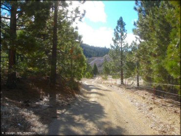 Leviathan Recreation Area Trail