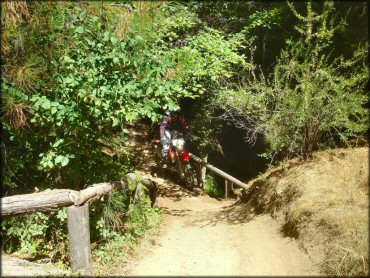 Honda CRF Dirt Bike at Miami Creek OHV Area Trail