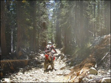 Honda CRF Dirt Bike at Lower Blue Lake Trail