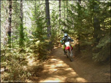 Honda CRF Motorcycle at Gold Note Trails