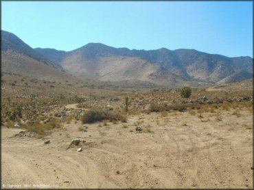 Scenery at Dove Springs Trail