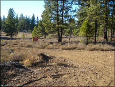 A trail at Billy Hill OHV Route Trail