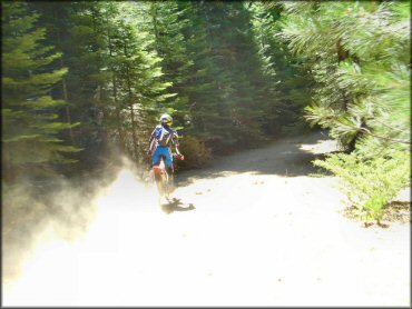 Honda CRF Motorbike at Gold Note Trails