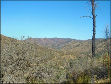 Scenery from Frank Raines OHV Park Trail