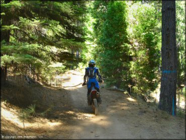 Honda CRF Motorcycle at Gold Note Trails