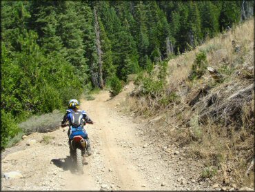 Honda CRF Dirt Bike at Gold Note Trails