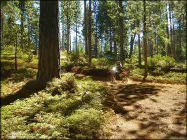 Honda CRF Off-Road Bike at Interface Recreation Trails