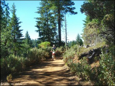 Honda CRF Dirt Bike at Interface Recreation Trails