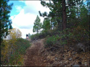 Honda CRF Motorcycle at Prosser Hill OHV Area Trail