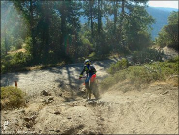 Honda CRF Dirt Bike at Miami Creek OHV Area Trail