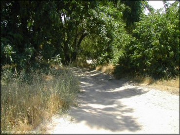 A trail at Shad Pad OHV Area