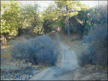 A trail at Lake Arrowhead Trail