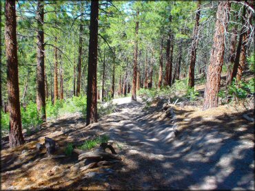 Terrain example at Mammoth Lakes Trail