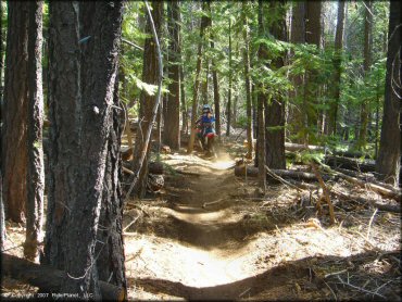 Honda CRF Motorbike at Corral OHV Trail