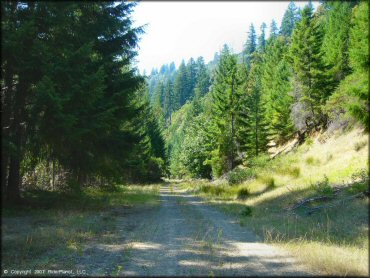 Some terrain at Lubbs Trail