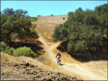 Honda CRF Off-Road Bike at Santa Clara County Motorcycle Park OHV Area