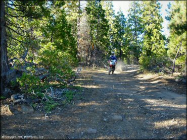 Honda CRF Dirt Bike at Black Springs OHV Network Trail